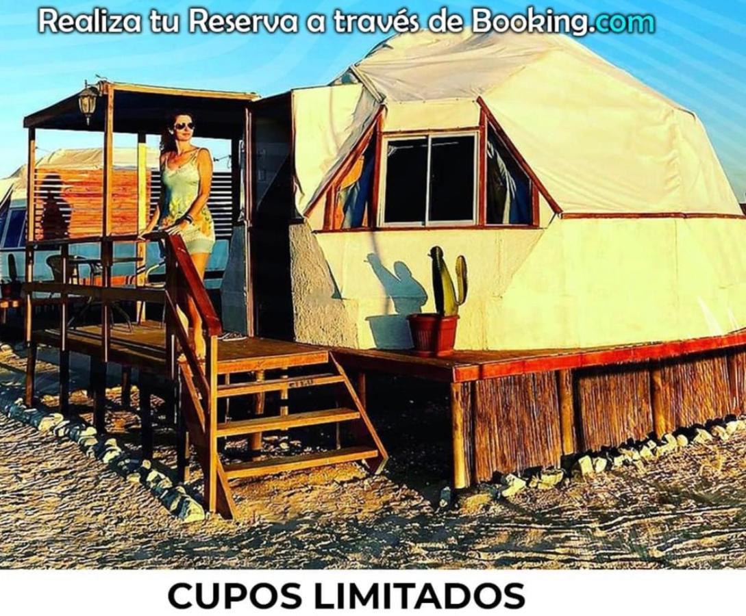 Domo Campsite *